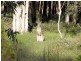 Booral QLD 4655