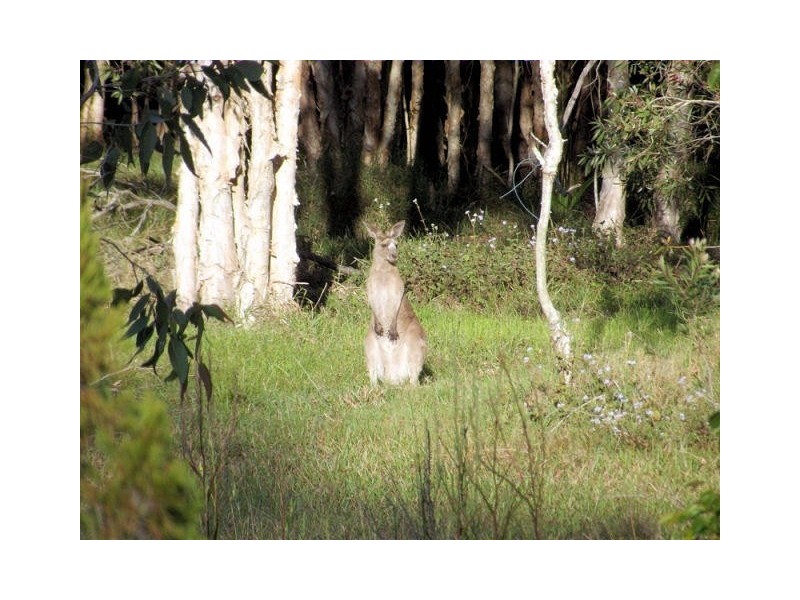 Booral QLD 4655