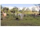 Torbanlea QLD 4662