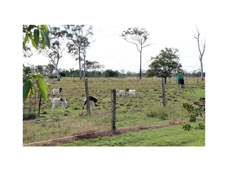 Magnolia QLD 4650