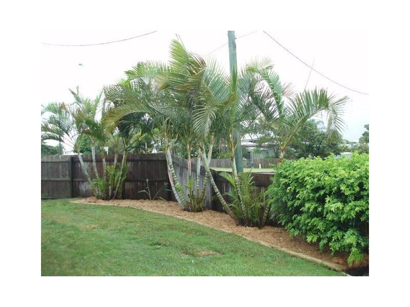 Maryborough QLD 4650