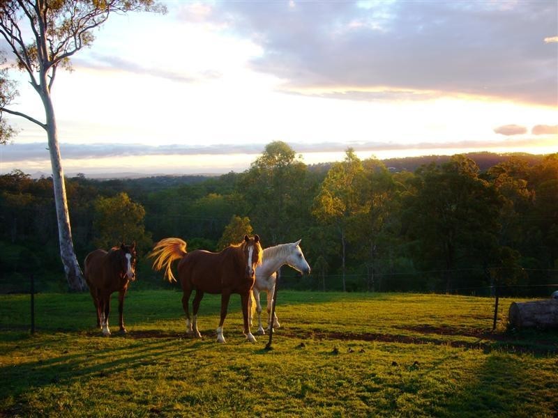 L65 Ladbroke Close, Bald Hills QLD 4036
