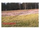 Joyner QLD 4500