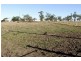Lot 60 Wambo Drive, Dalby QLD 4405