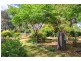 54 Spring Creek Drive, Dalby QLD 4405