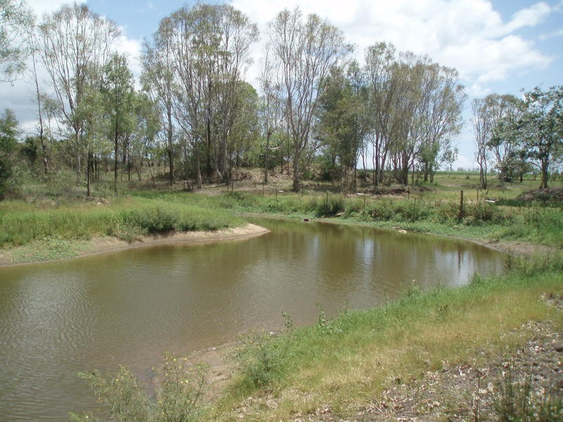 South Kolan QLD 4670