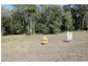 Moore Park Beach QLD 4670