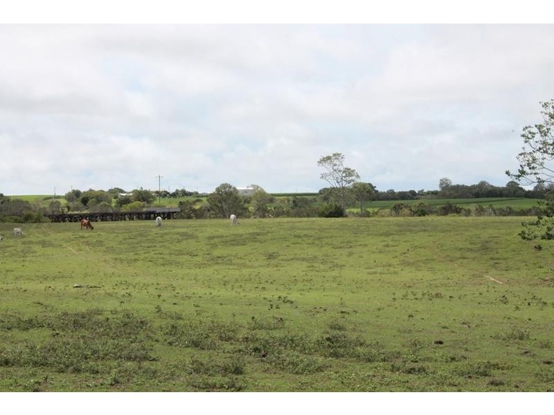 170 Nicolsons Road, Sharon QLD 4670