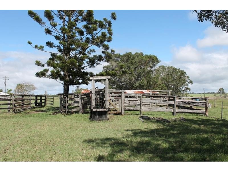 170 Nicolsons Road, Sharon QLD 4670