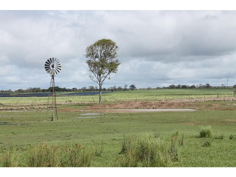 170 Nicolsons Road, Sharon QLD 4670