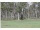 701 Birthamba Road, South Kolan QLD 4670