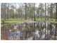 701 Birthamba Road, South Kolan QLD 4670