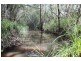 701 Birthamba Road, South Kolan QLD 4670
