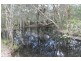 701 Birthamba Road, South Kolan QLD 4670