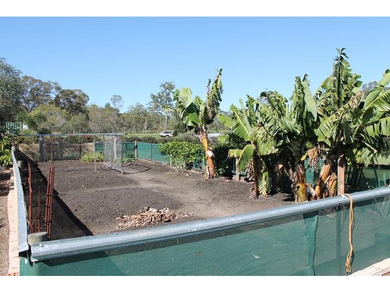 65 Ghost Gum Road, Sharon QLD 4670