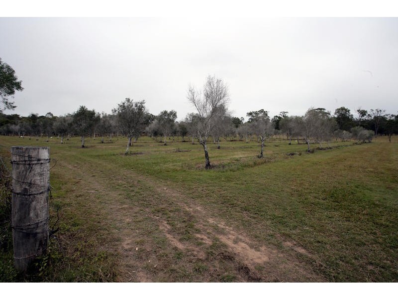 Bucca QLD 4670