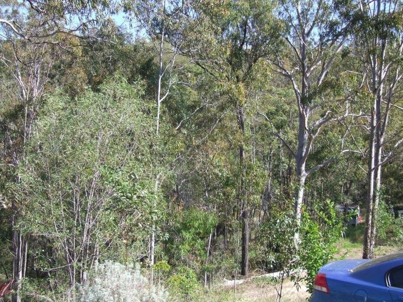 124 Wonbah Avenue, Gin Gin QLD 4671