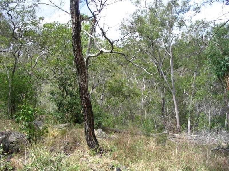Mount Perry QLD 4671