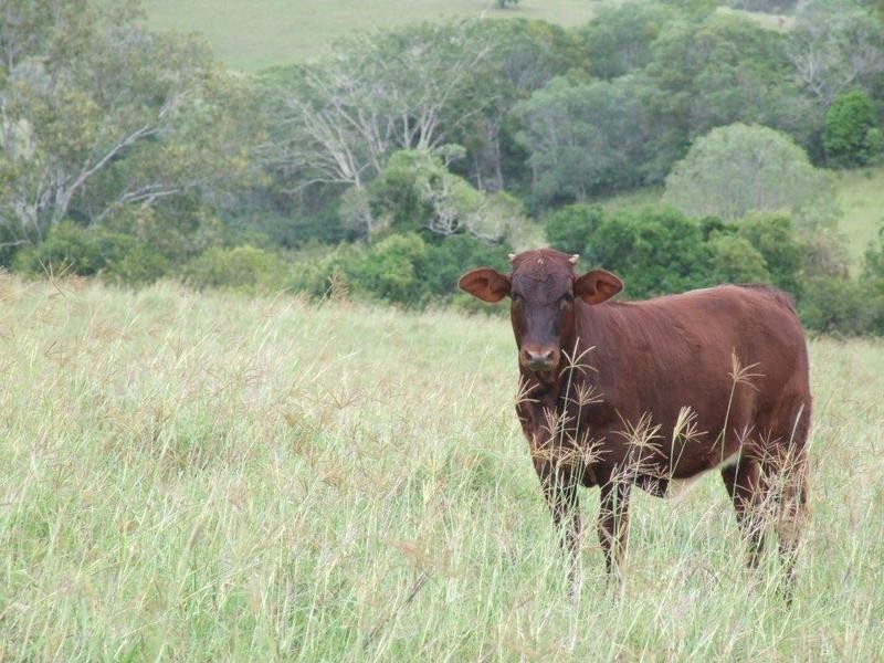 Gin Gin QLD 4671