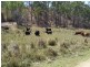 Gin Gin QLD 4671