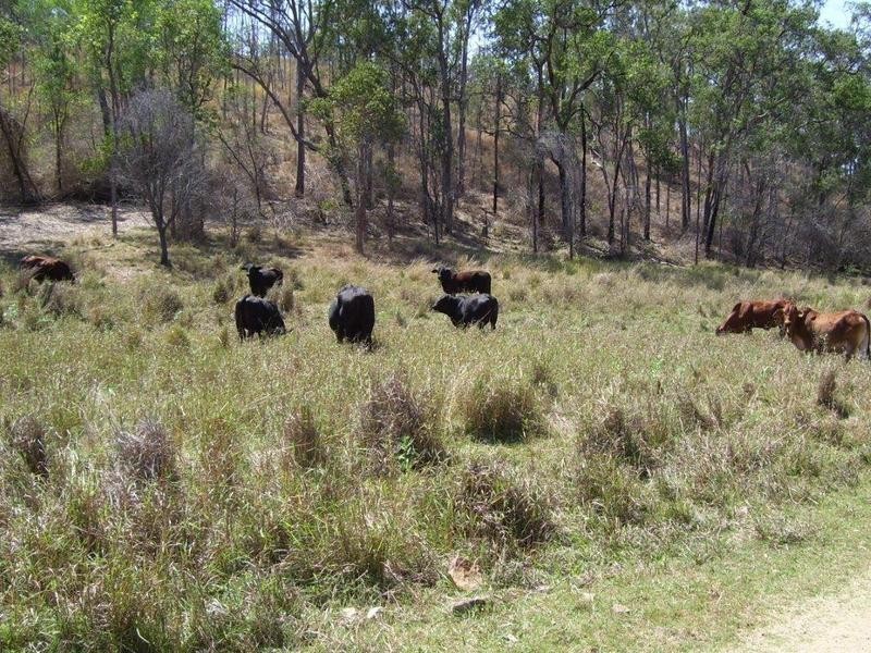 Gin Gin QLD 4671
