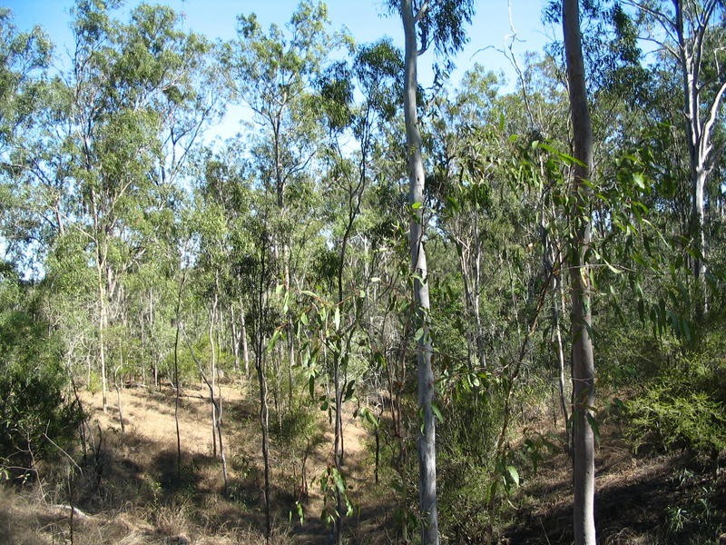 Lot 2 River Road, Fairymead QLD 4670