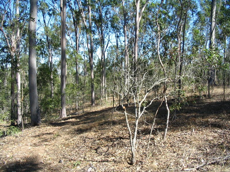 Lot 2 River Road, Fairymead QLD 4670