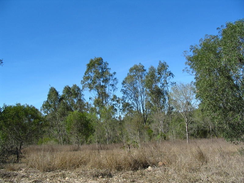 Lot 2 River Road, Fairymead QLD 4670