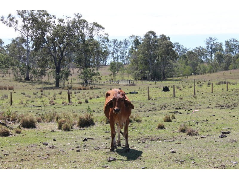 Lot 1,2,3 Diamond Hill Road, Rosedale QLD 4674