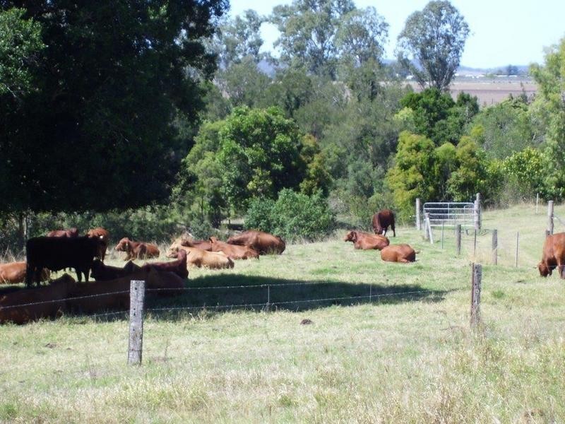 Gin Gin QLD 4671