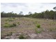 42 Polo Place, Branyan QLD 4670