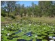 Gin Gin QLD 4671