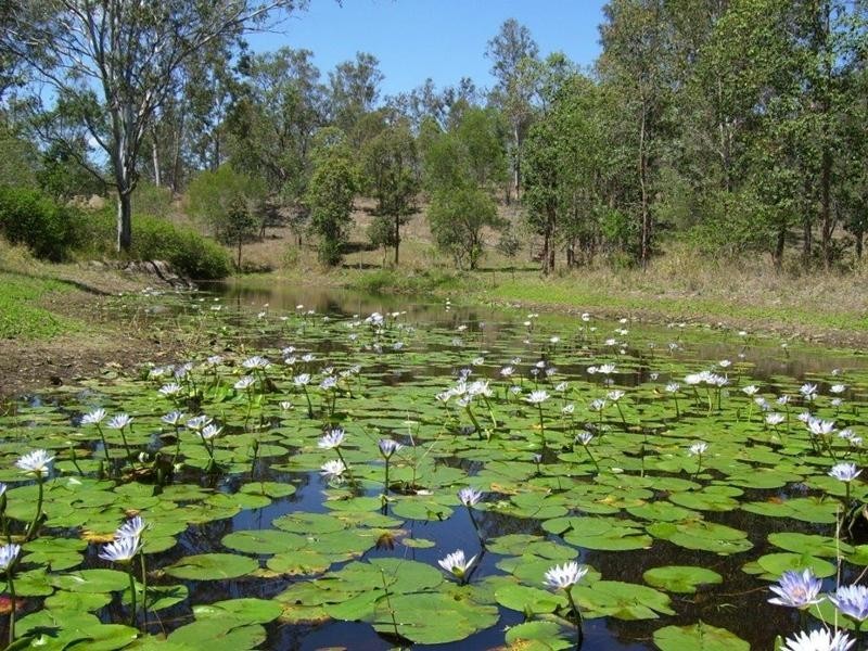 Gin Gin QLD 4671