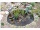 117 Branyan Street, Svensson Heights QLD 4670
