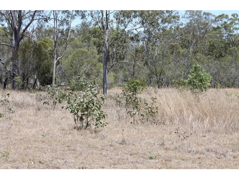 172 Smiths Crossing Road, Bucca QLD 4670