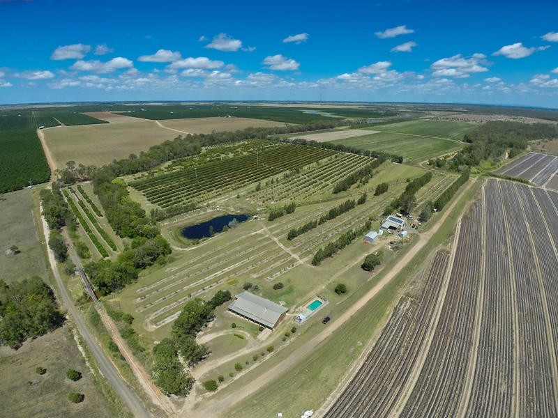 173 Bonels Road, Welcome Creek QLD 4670