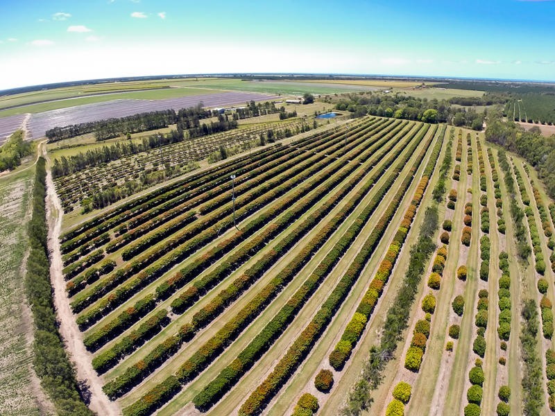 173 Bonels Road, Welcome Creek QLD 4670