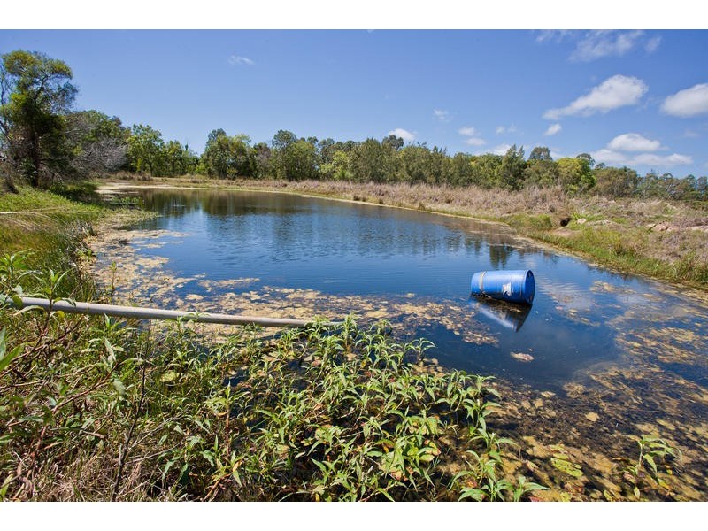 173 Bonels Road, Welcome Creek QLD 4670