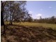 Gin Gin QLD 4671