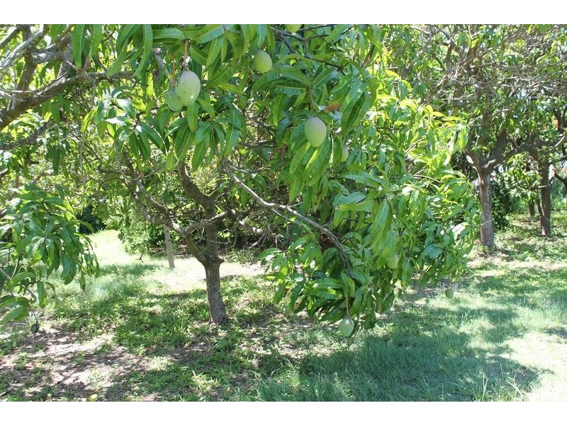 66 Langbeckers Road, Thabeban QLD 4670