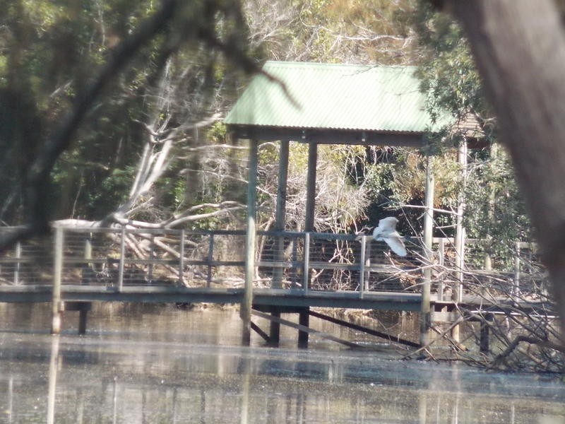 Moore Park Beach QLD 4670