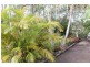 221 Quarry Road, Bucca QLD 4670