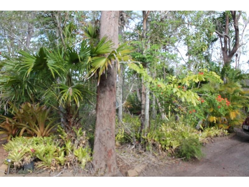 221 Quarry Road, Bucca QLD 4670