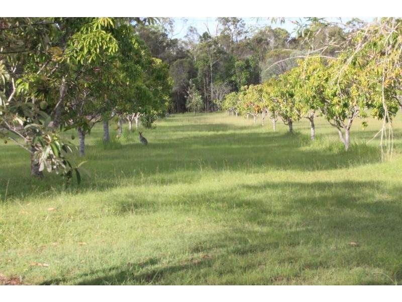 221 Quarry Road, Bucca QLD 4670