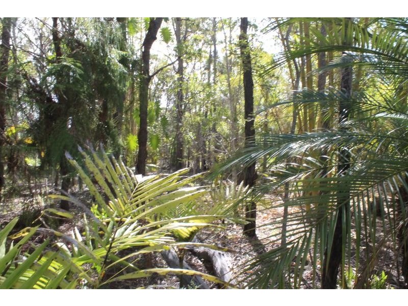 221 Quarry Road, Bucca QLD 4670