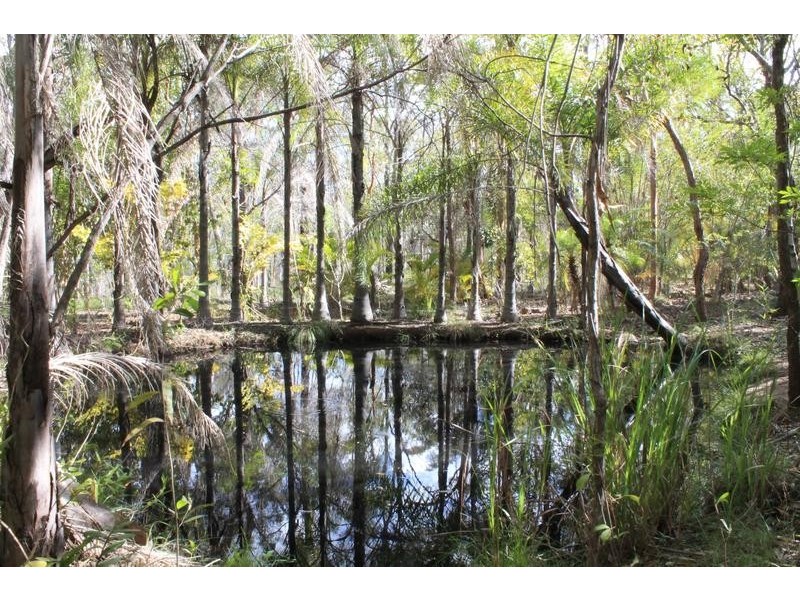 221 Quarry Road, Bucca QLD 4670