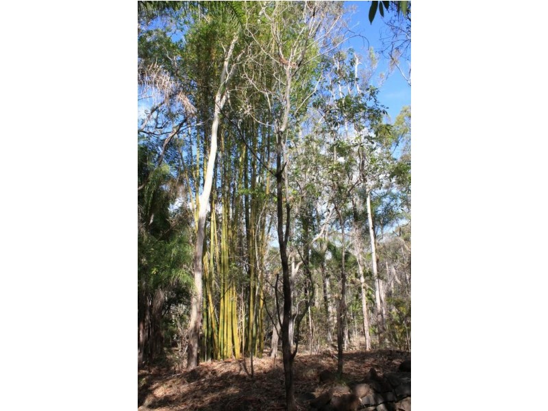 221 Quarry Road, Bucca QLD 4670