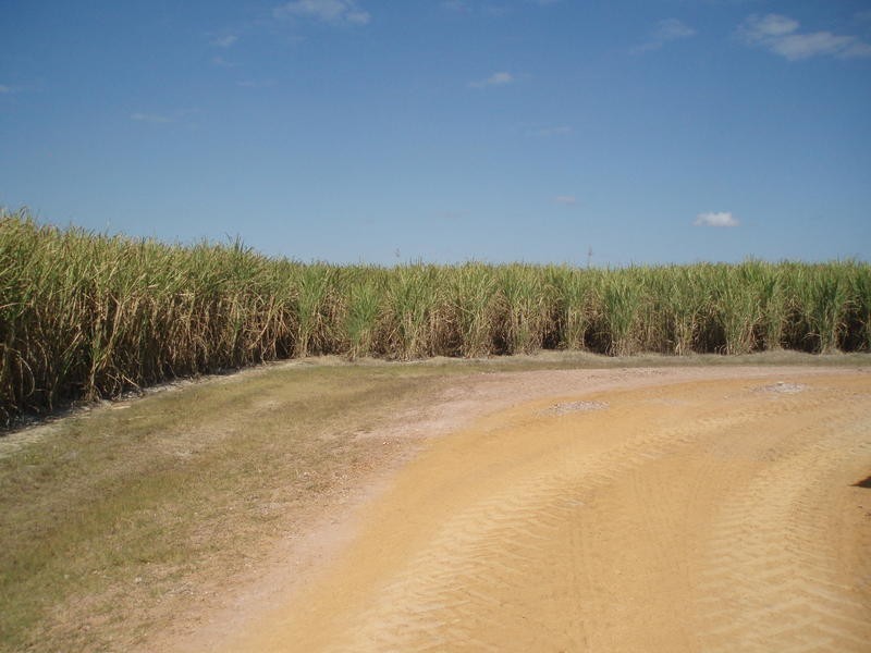 397 Eardleys Road, Welcome Creek QLD 4670