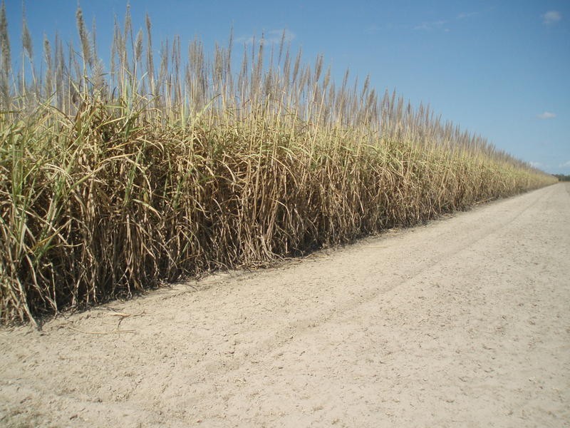 397 Eardleys Road, Welcome Creek QLD 4670