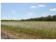 156 Henricksens Road, Cordalba QLD 4660